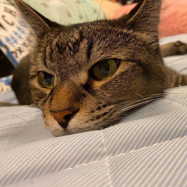 0fcad4dd d1a3 4f40 9db5 8b214e5c41a5 1595762995741