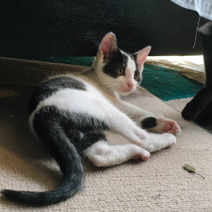 0fcae881 7973 4162 bc89 76f34b82b1ee 1626430768437