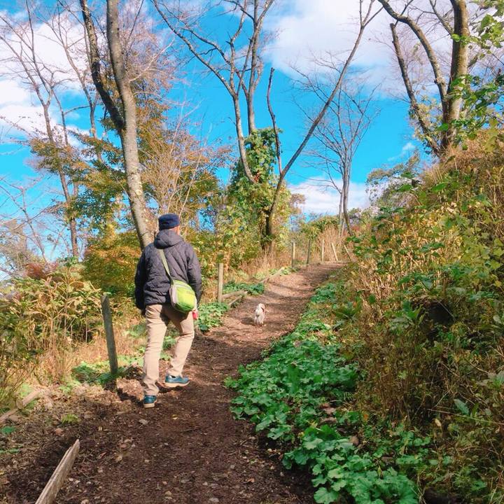 0fcaea4f 75ee 474e a038 a2ef56550e29 1511178047037