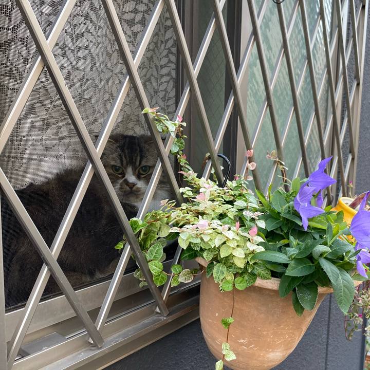 0fcb0395 7151 4f9b 8931 308c9a70a126 1666507518284