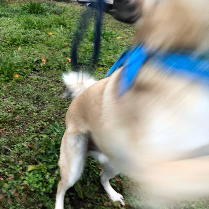 0fcb3d40 0500 4a77 9f23 982453362b0b 1580214478357