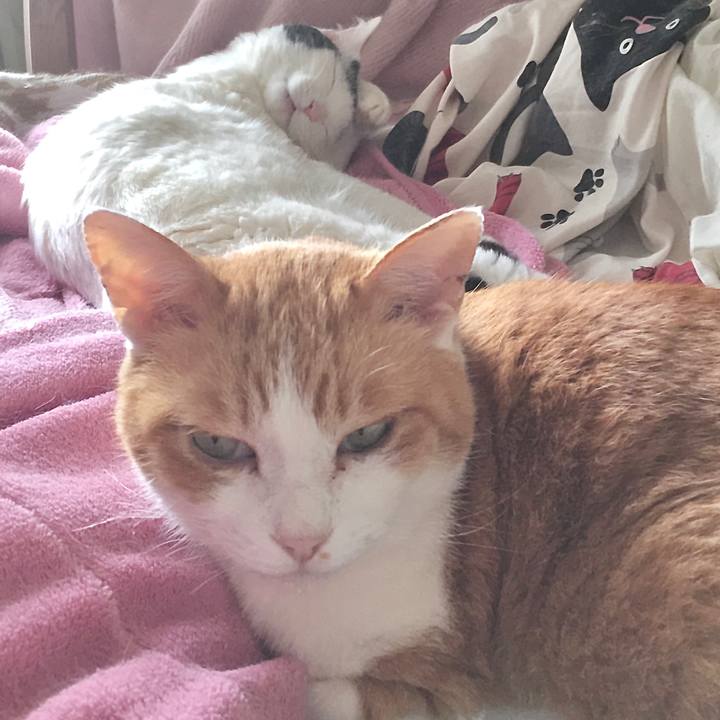 0fcb430a 5e45 45a7 87df f1f309bf90a0 1587528153805