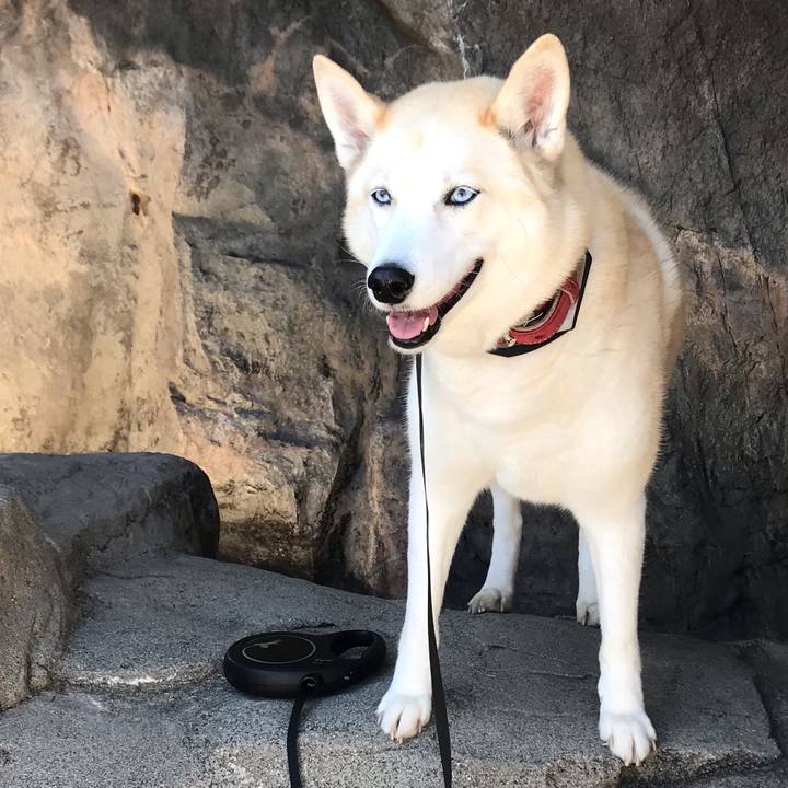 0fcb4a8d 37bc 4e58 b53f f951066762ca 1645596421366