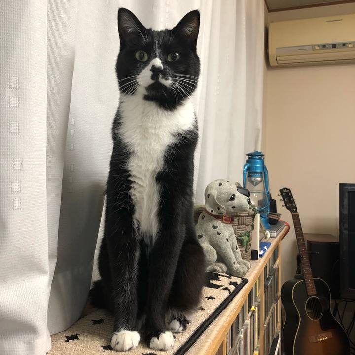 0fcb9367 0cd3 46c4 a0f3 e419c6664938 1550800214402