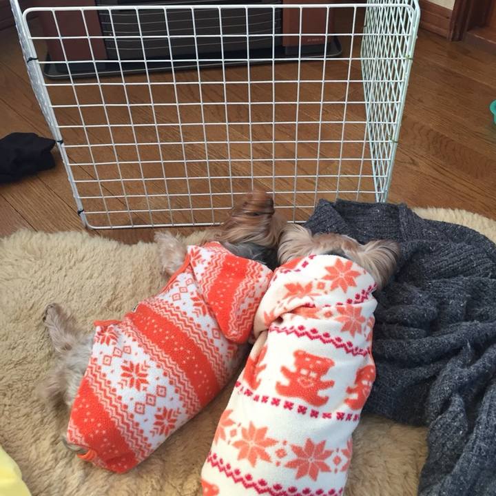 0fcbab7a 88c7 425d b80f 92d57b17e97d 1547165986246