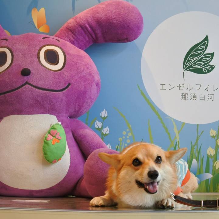 0fcc1cec eff2 4ee1 8f08 ba85eb4986a8 1525429734983