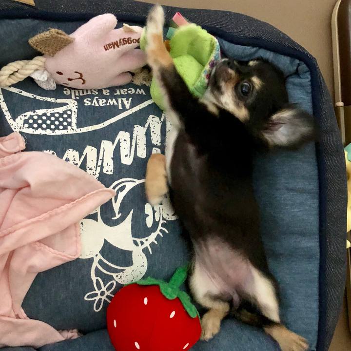 0fcc46fe 4f3f 4bcc 829c 9cb856caddc1 1535846023072