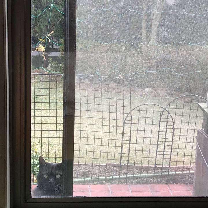 0fcc7c12 c80e 4d30 80ce 01fddd9b8b1c 1513390659687