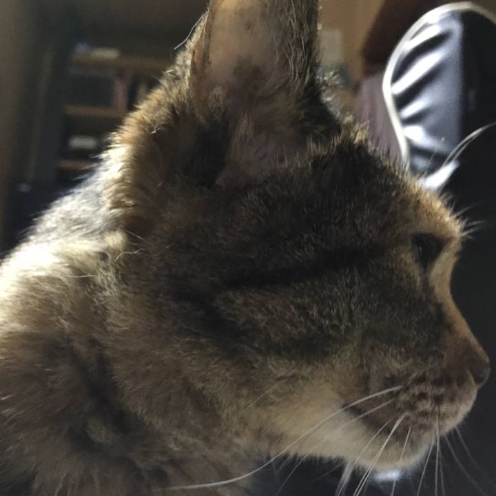 0fcc7e48 4902 48fe 8cf4 8a36d024f95d 1533121715131