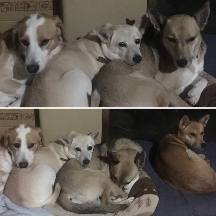 0fcc8ec2 31a5 4ecd 94c8 6932b71db2bf 1512053166822