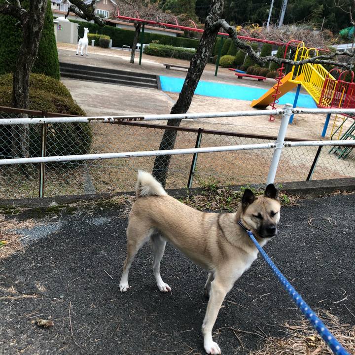 0fccc83f 0842 4dc3 a414 698ff002e0ab 1576919029468