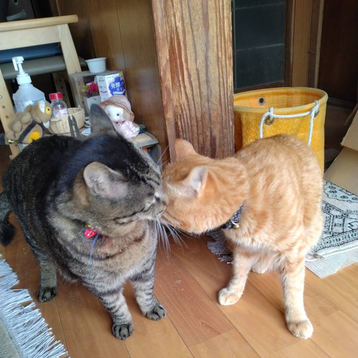 0fccc9f8 e0df 41f1 98ea e432aef07e8f 1682051254608