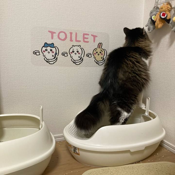 0fccfa0d 1382 4902 ad3a f81dbf090d9d 1719000156315