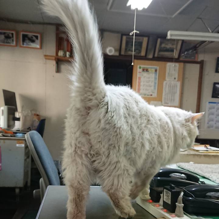 0fcd0402 1d00 4c9d ab65 682a29bcc329 1525991344113