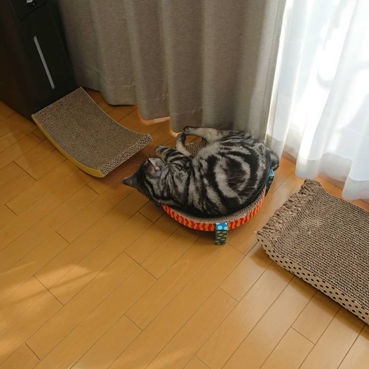 0fcd07f6 74d2 42d3 8853 c55baa887386 1569030363242