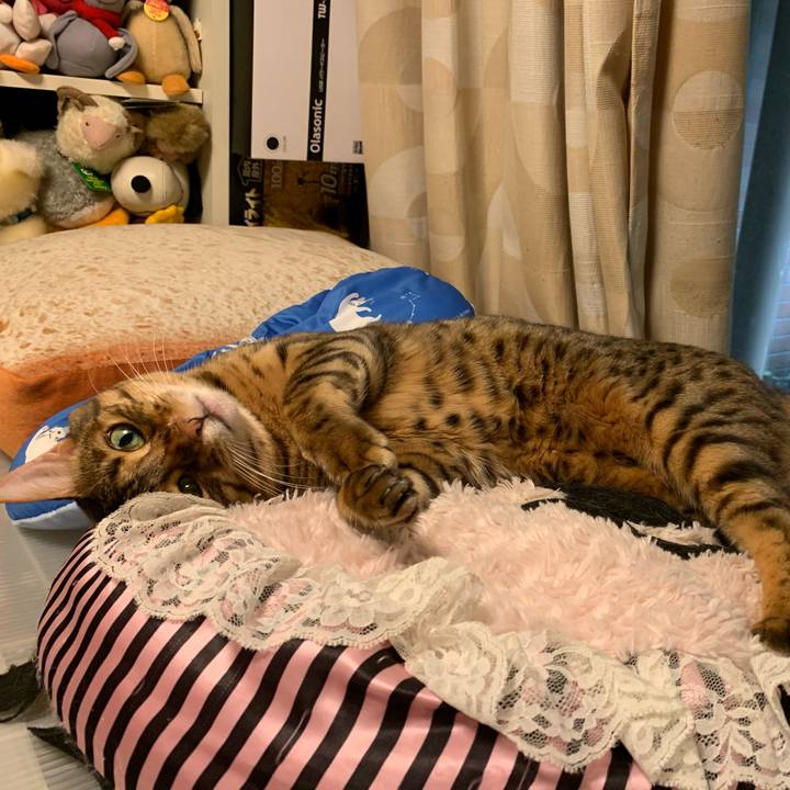 0fcd1801 f244 4d78 830c 5ea3c7c9aea5 1625700821615