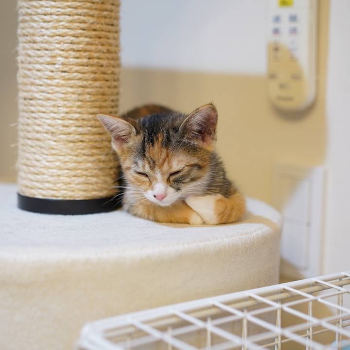 0fcd2ce8 6223 4735 a313 7e887ee6ac09 1567657982583