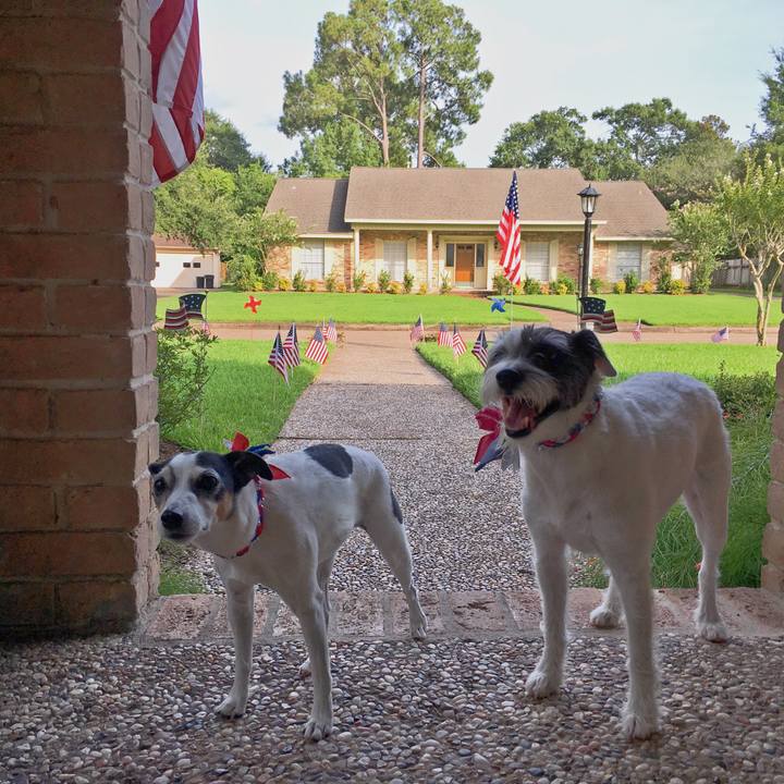 0fcd3d14 bc48 4347 b81c a7e5515d5925 1530708156053