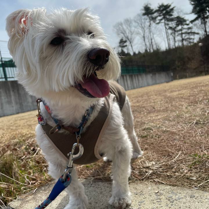 0fcd4b5b 3b98 4cb8 9c8d 89305b693be7 1699013647930