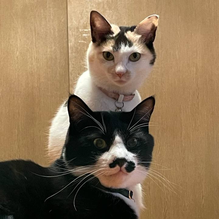 0fcd7bdc ad70 401d ae63 14c288ced3e0 1737631199907