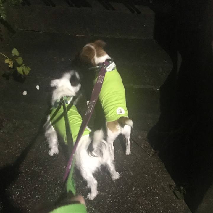 0fcd9bfa 3b8f 4280 a078 bf83669150c4 1537871802494