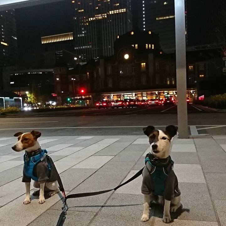 0fcdbaef 07af 40b8 95b5 18d56ff2d56f 1543680013146