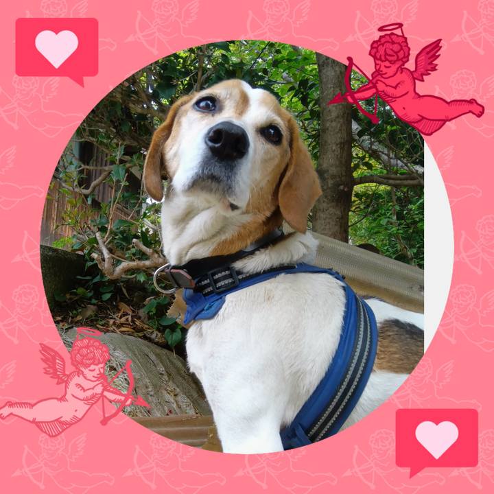 0fcdda40 9424 4742 8721 c646a9493d42 1745146864823