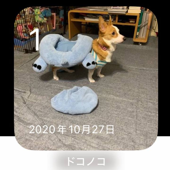 0fcdf6fd c941 48c3 aafd 5b22a2bbc5fb 1761980795045