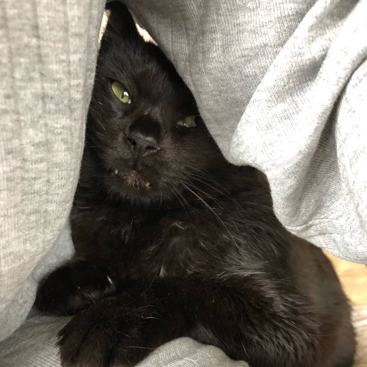 0fce3d45 8410 46f4 96a4 7a5087ae3762 1593320491744