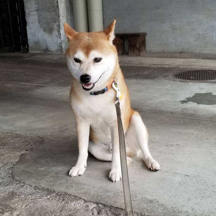 0fce645d 6432 4ec2 ae64 50eb28e9c0d3 1566286212655