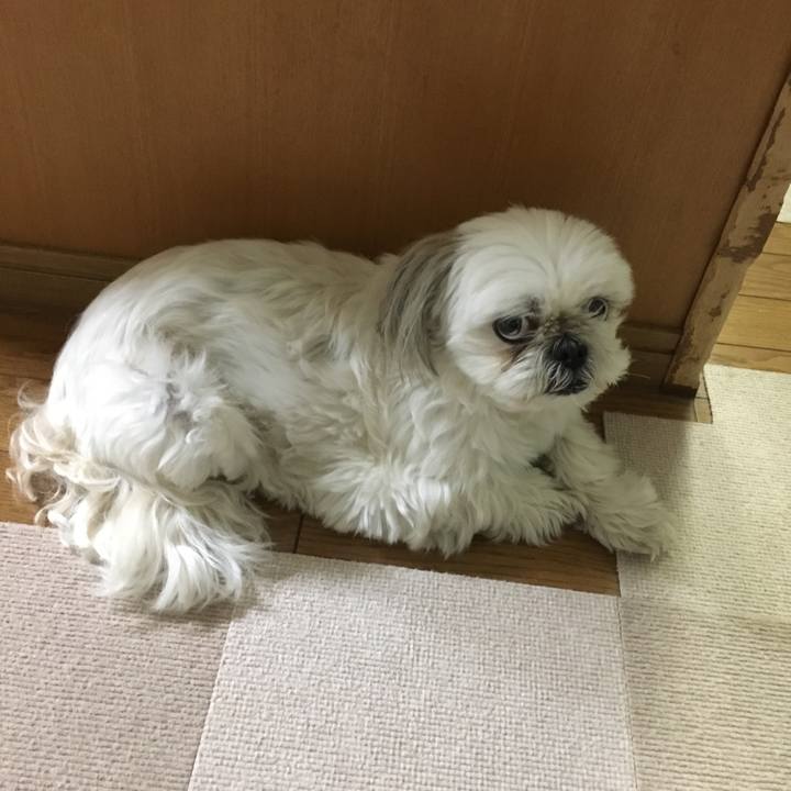 0fce7d77 197a 482b b6ee e89eadd7f9ba 1558092061013