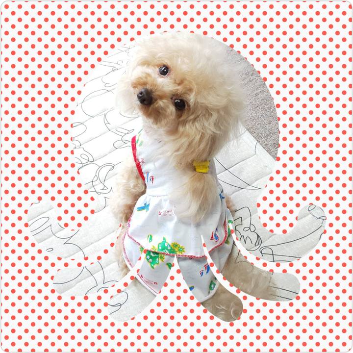 0fce861f cba0 469a 9308 d54ae736529f 1569066182222