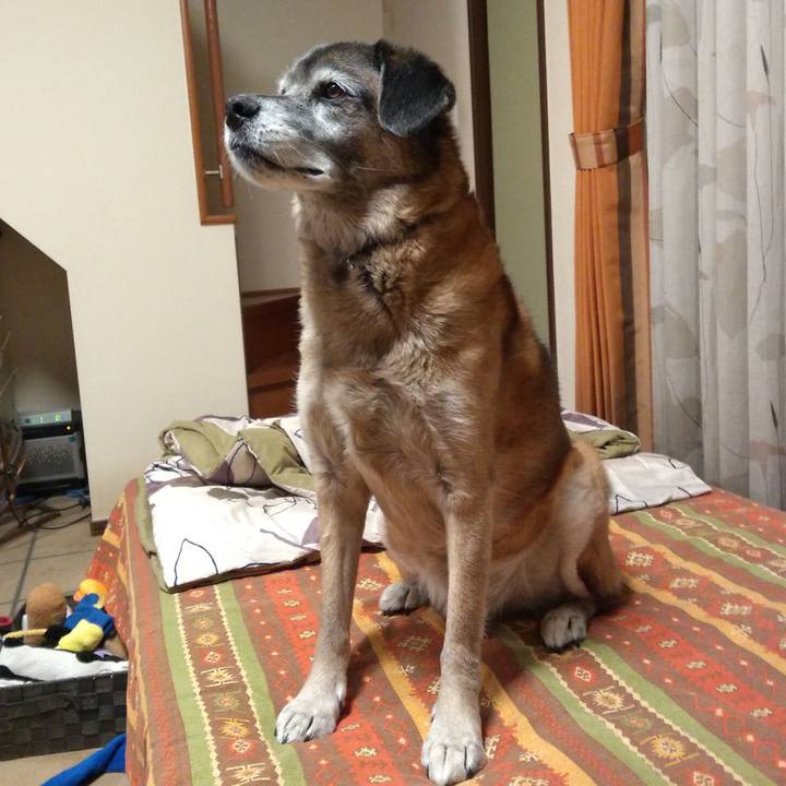 0fce914b f48c 4aa3 9911 5a74dc6d645e 1548719857246