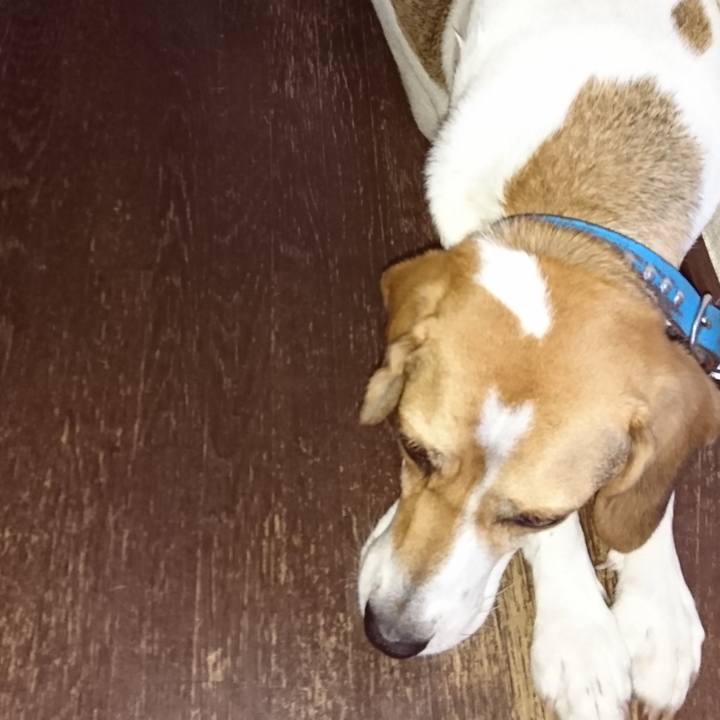 0fcead1a 5f6f 41a7 9abb c5e65ad91fcb 1569903553582