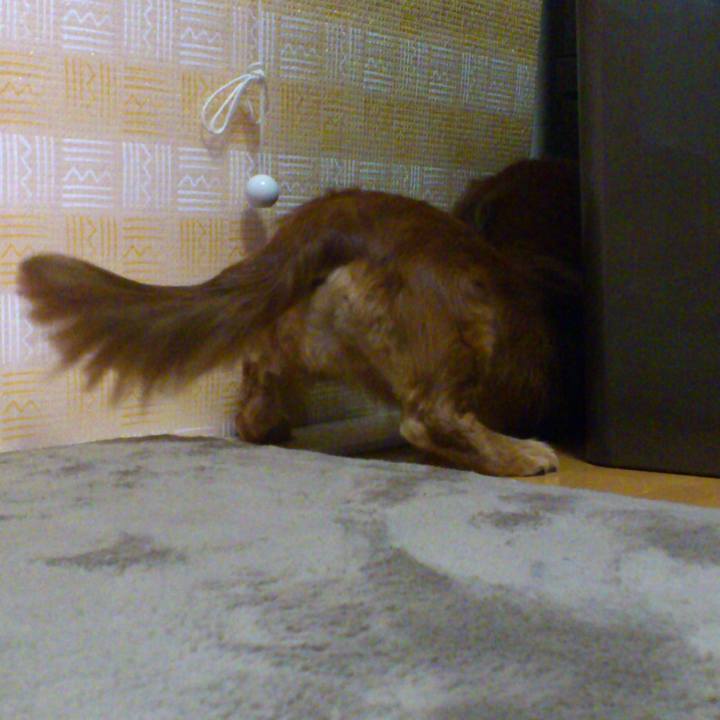 0fcebc66 90a6 4ce8 bbd0 7a37f2466228 1582136519875