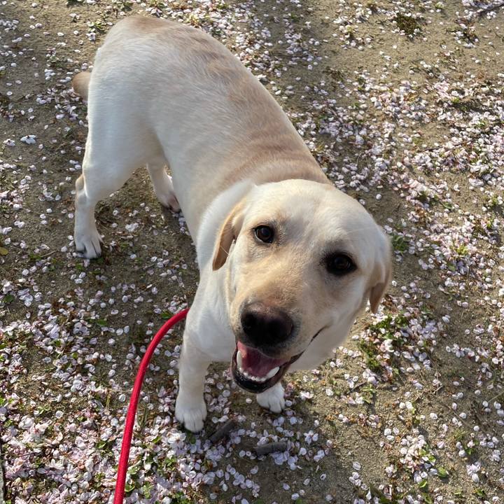 0fcedaa0 999a 42bb 8b2d f70ee036c008 1649161319835