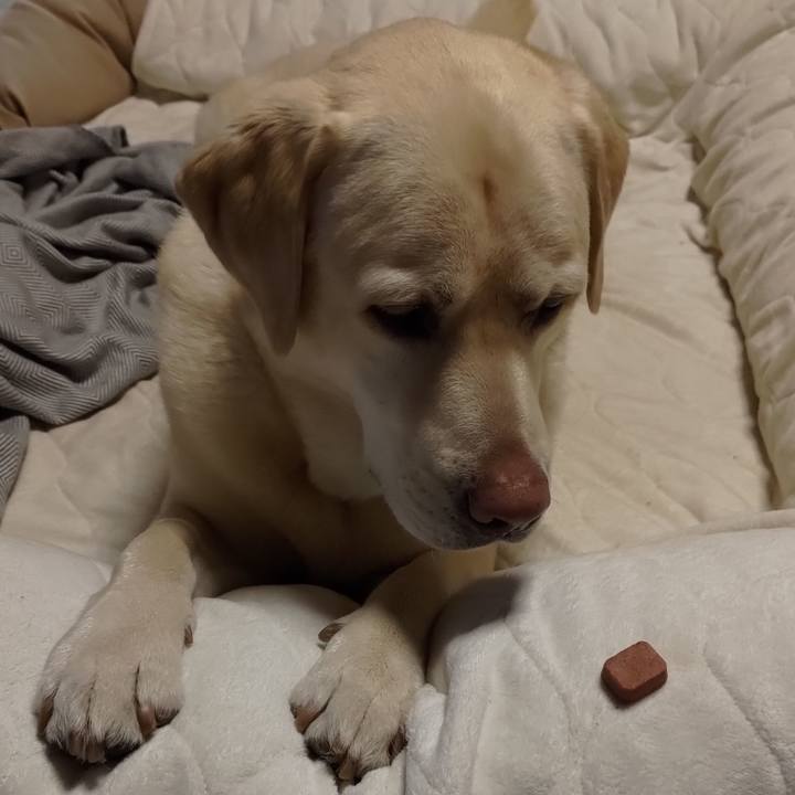 0fcf106f b62e 4efa 9a43 46eaf923d064 1647577481776