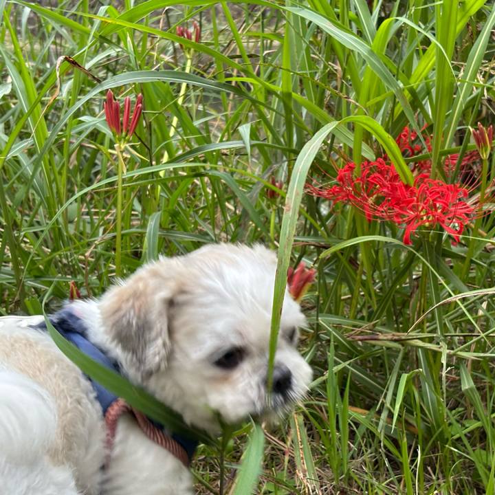 0fcfab35 4bce 458a 9d11 80e3844e60f6 1759181952416