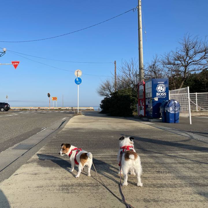 0fcfcd2e f165 4443 b5bf 11352f1c1528 1679440278571