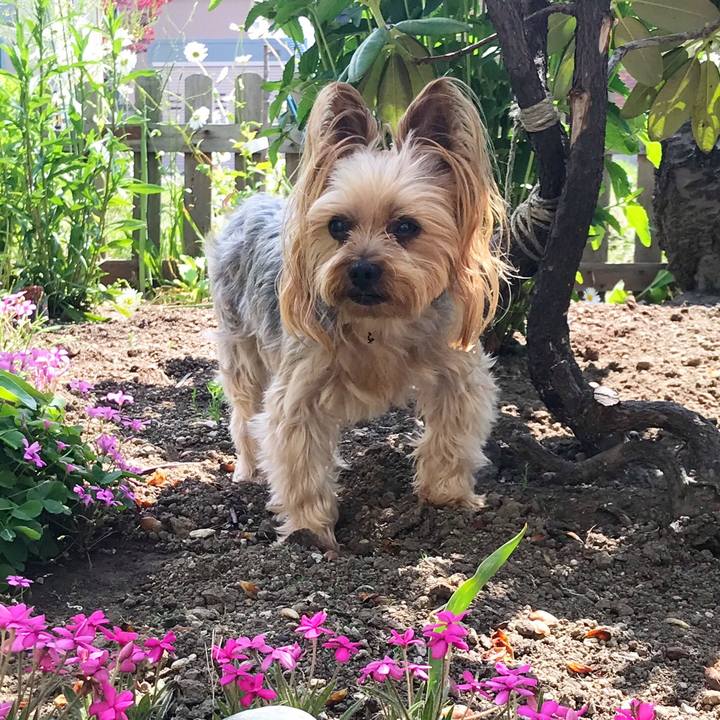 0fcfcf4e 0062 4926 90ee 541d8832f26a 1529840988935