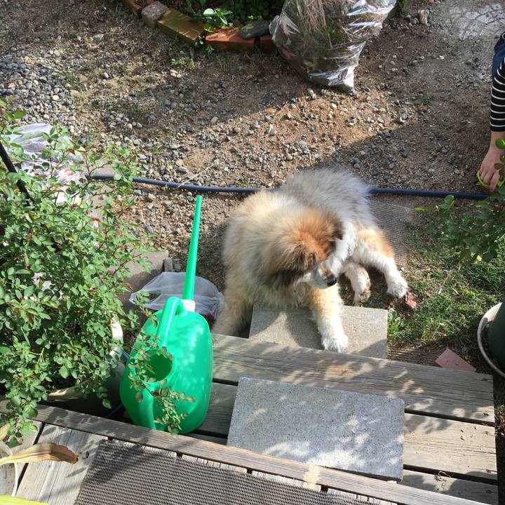 0fcfde9f f8b2 43db bccb 7f6f125f626b 1574397742595