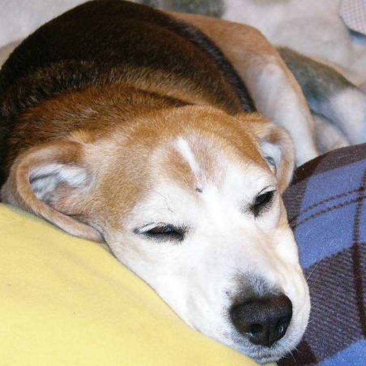 0fcff8ec c635 4d13 b9ce abc004c25239 1645407388172