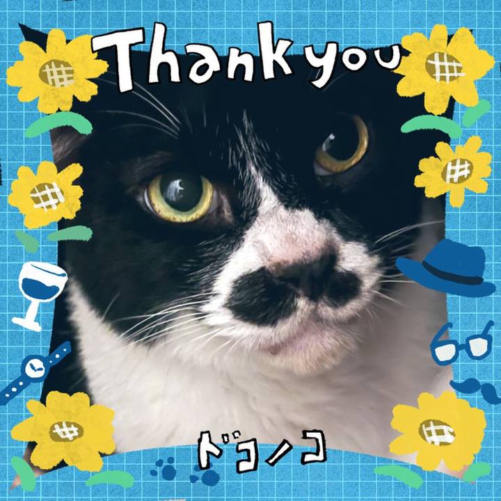 0fd01072 45ec 4035 99a1 cf916a4d39e3 1717592680997