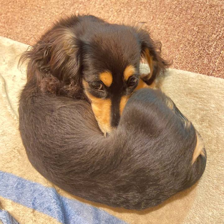 0fd02d13 9398 4412 bc88 d823d97fcd78 1673605359394