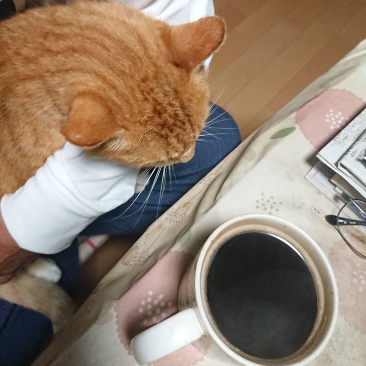 0fd03132 48e2 4082 88f7 50eda63c81c4 1600027284497