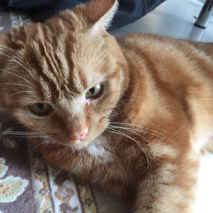 0fd0392d f80c 4f10 bbd6 2de7d02bd42d 1582421865086