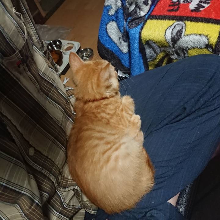 0fd05c26 8bd9 4beb 8941 75e9d1edc9dc 1631308611862