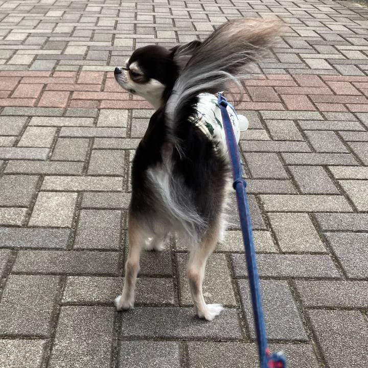 0fd07fb8 4b25 41d6 8fb5 417e9de95610 1714992876913