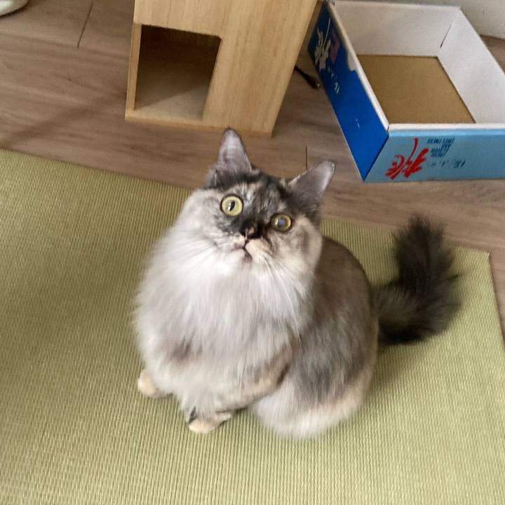 0fd0ec11 2150 4186 a1e0 f49a85590f68 1765680798750