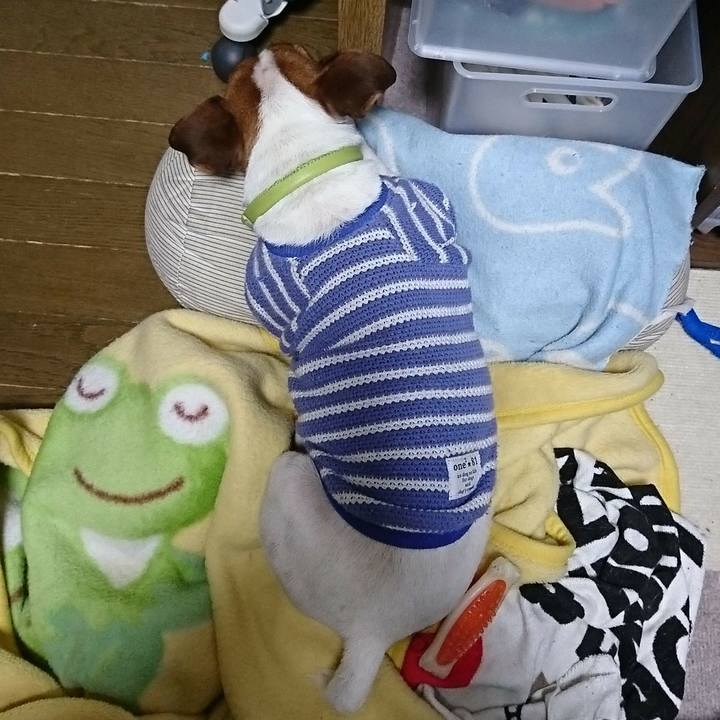 0fd10006 8438 4c6a b4c4 86069b78ff91 1579440110886